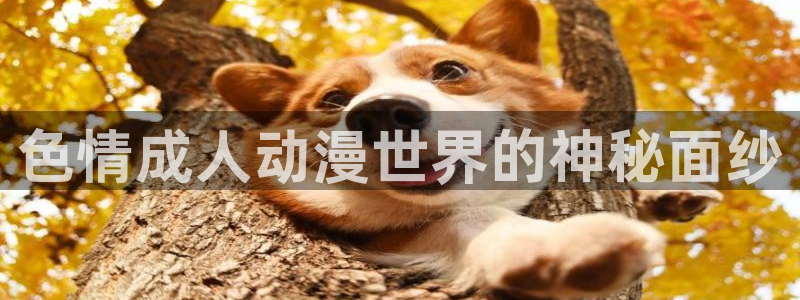 樱花动漫天堂