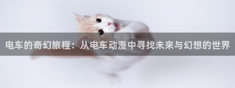 动漫天堂下载安装最新版