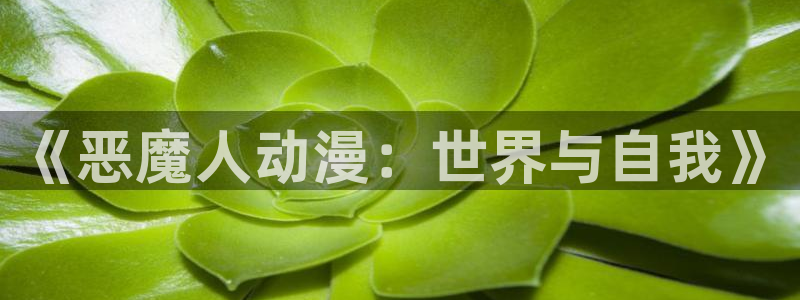 动漫天堂免费
