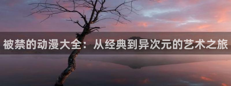 动漫天堂网站