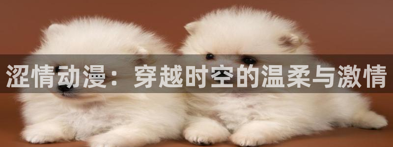 动漫天堂岛