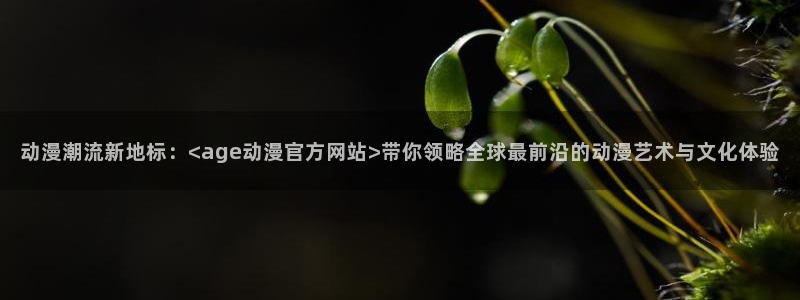 av动漫天堂网