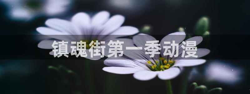 动漫天堂总站：镇魂街第一季动漫