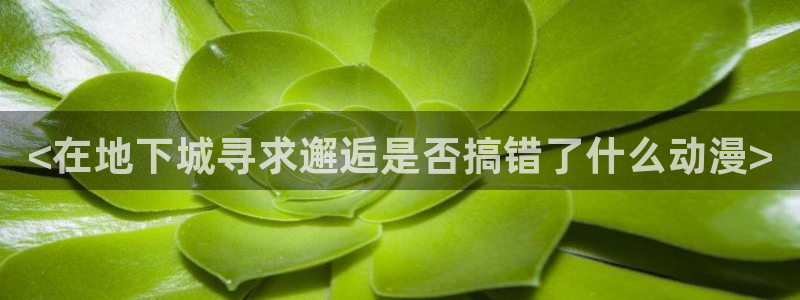 动漫天堂下载：<在地下城寻求邂逅是否搞错了什么动漫>