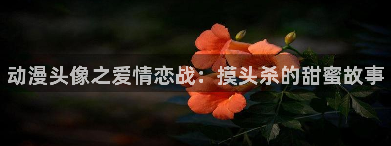 动漫天堂网站：动漫头像之爱情恋战：摸头杀的甜蜜故事