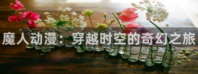动漫天堂免费版：魔人动漫：穿越时空的奇幻之旅