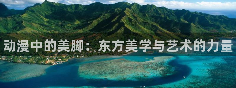 acg动漫天堂：动漫中的美脚：东方美学与艺术的力量