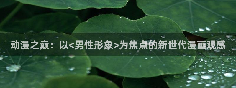jk动漫天堂：动漫之巅：以<男性形象>为焦点的新世代漫画观感