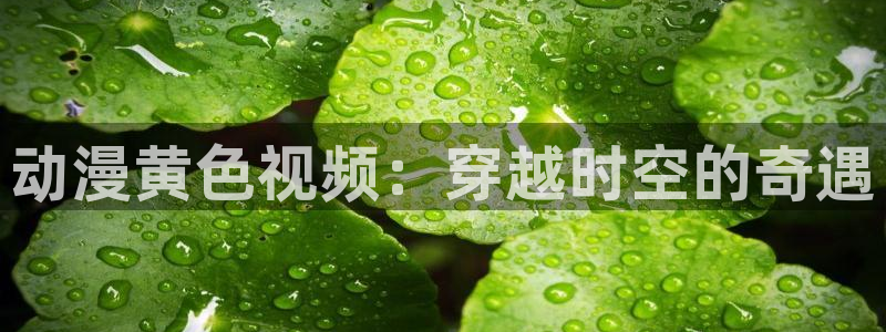 动漫天堂官网：动漫黄色视频：穿越时空的奇遇