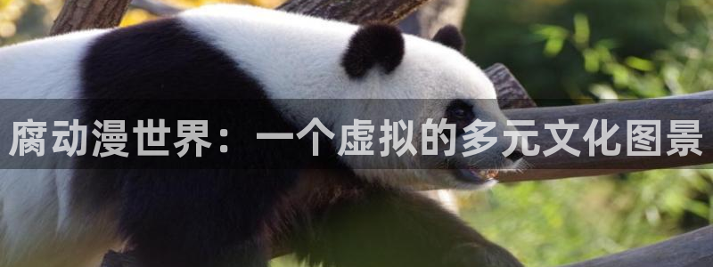 动漫天堂cc：腐动漫世界：一个虚拟的多元文化图景