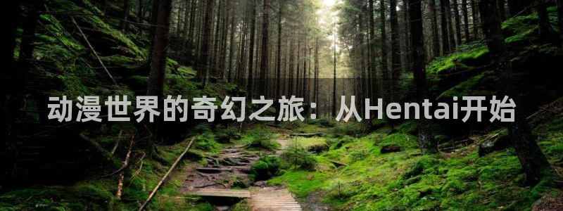 番剧推荐动漫天堂.：动漫世界的奇幻之旅：从Hentai开始