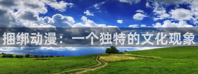www.动漫天堂：捆绑动漫：一个独特的文化现象
