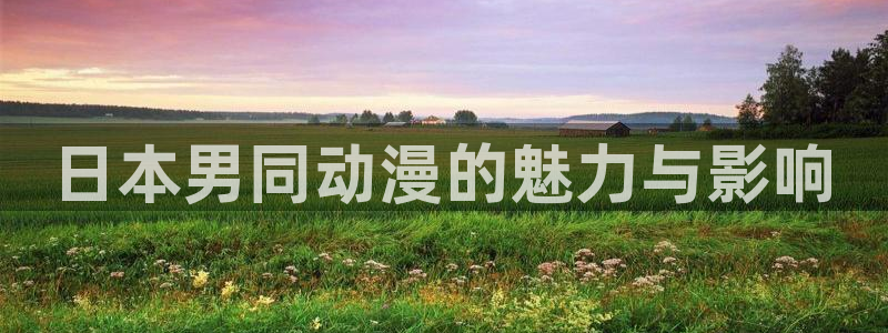 原神动漫天堂免费入口：日本男同动漫的魅力与影响
