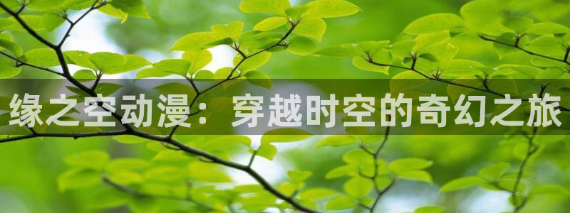 原神禁动漫天堂：缘之空动漫：穿越时空的奇幻之旅