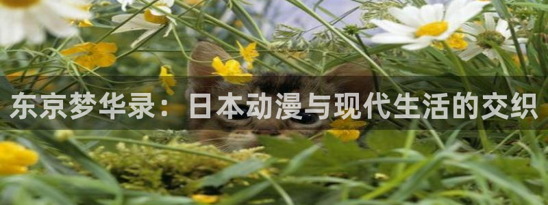 动漫天堂在线：东京梦华录：日本动漫与现代生活的交织