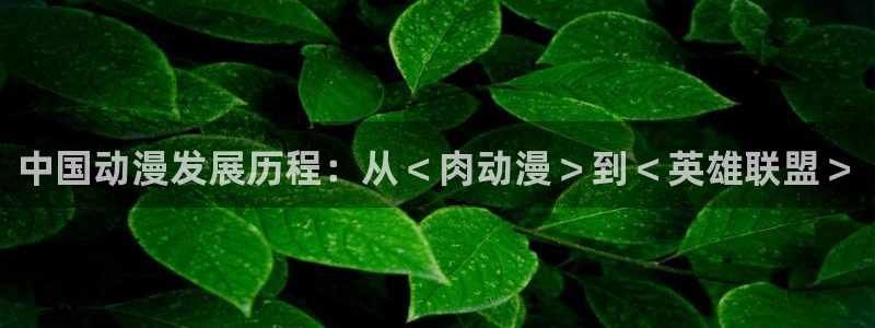 动漫天堂在线：中国动漫发展历程：从＜肉动漫＞到＜英雄联盟＞