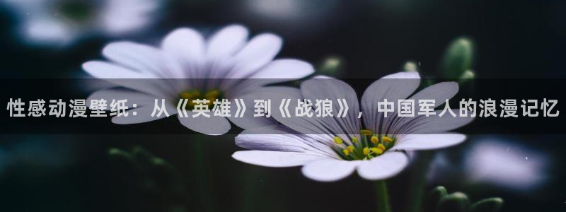 cos动漫天堂官网下载：性感动漫壁纸：从《英雄》到《战狼》，中国军人的浪漫记忆