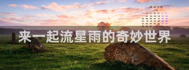 樱花动漫天堂：来一起流星雨的奇妙世界