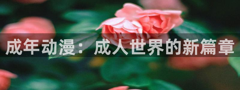jm动漫天堂：成年动漫：成人世界的新篇章