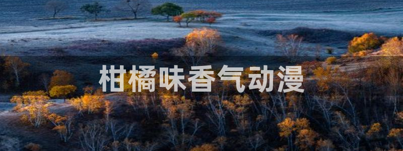 动漫天堂免费：柑橘味香气动漫