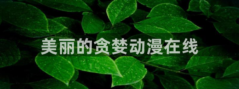 bt动漫天堂：美丽的贪婪动漫在线
