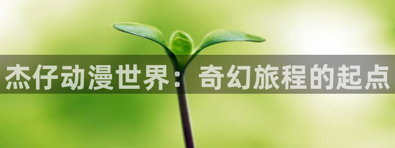 coco动漫天堂：杰仔动漫世界：奇幻旅程的起点