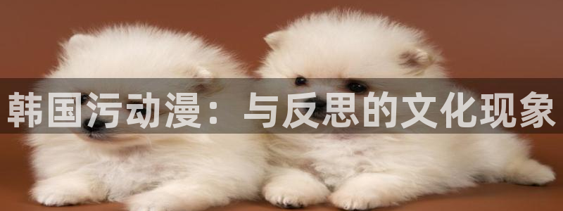 秋叶原动漫天堂：韩国污动漫：与反思的文化现象