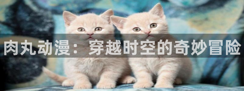 动漫天堂从哪下载安装：肉丸动漫：穿越时空的奇妙冒险
