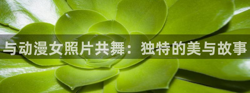 动漫天堂网：与动漫女照片共舞：独特的美与故事