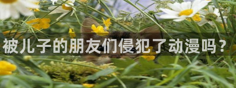 动漫天堂网站：被儿子的朋友们侵犯了动漫吗？