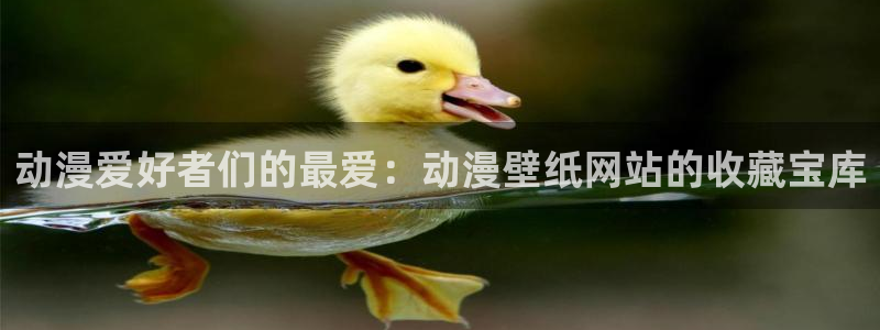 原神禁动漫天堂：动漫爱好者们的最爱：动漫壁纸网站的收藏宝库