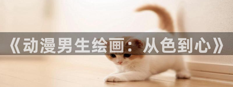 动漫天堂在线观看：《动漫男生绘画：从色到心》