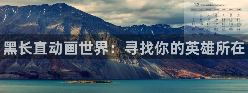 coco动漫天堂：黑长直动画世界：寻找你的英雄所在