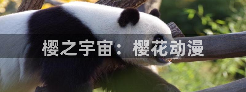 动漫天堂总站：樱之宇宙：樱花动漫
