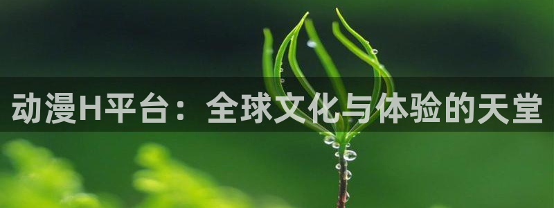 动漫天堂免费版：动漫H平台：全球文化与体验的天堂
