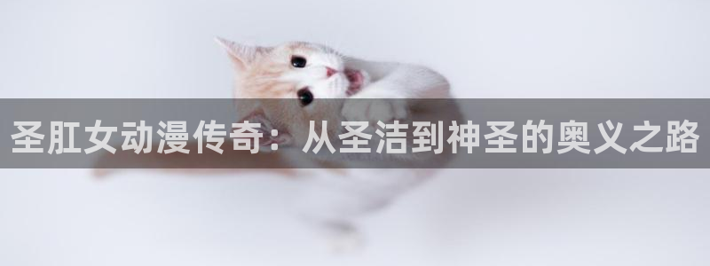 动漫天堂cc：圣肛女动漫传奇：从圣洁到神圣的奥义之路