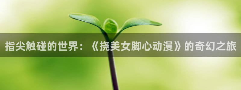 动漫天堂：指尖触碰的世界：《挠美女脚心动漫》的奇幻之旅