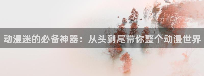 动漫天堂官网：动漫迷的必备神器：从头到尾带你整个动漫世界