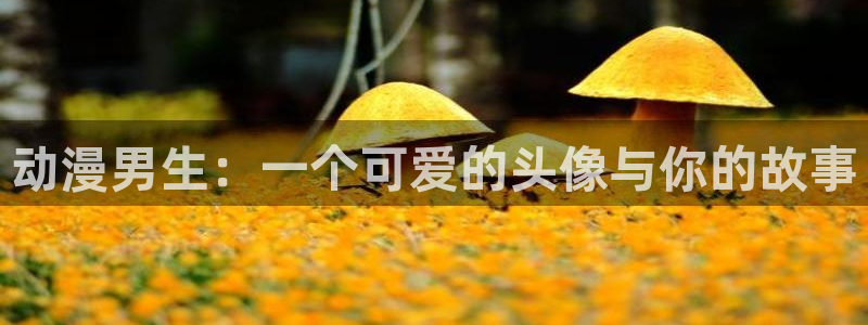 亚洲成人动漫天堂：动漫男生：一个可爱的头像与你的故事